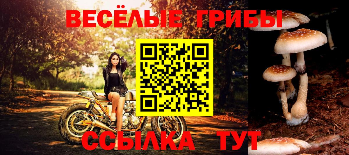 Псилоцибиновые грибы прущие грибы Сызрань