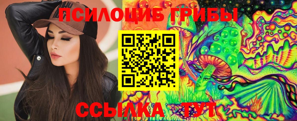 Сызрань  Галлюциногенные грибы MAGIC MUSHROOMS  Вход с VPN  Псилоцибиновые грибы прущие грибы 